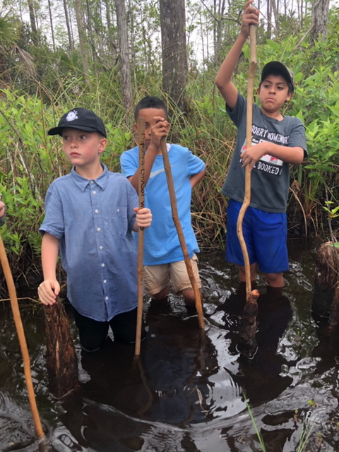 Students exploring Grassy Waters on field trip